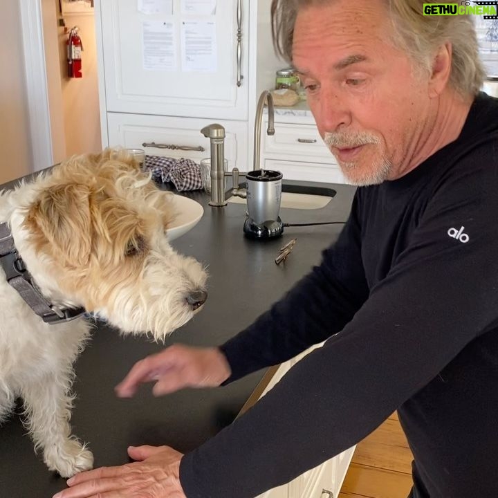 Don Johnson - 10.2K Likes - Shameless plug for #KENAN with my dog Thunder. TONIGHT 8:30 NBC
@kenanthompson @NBC