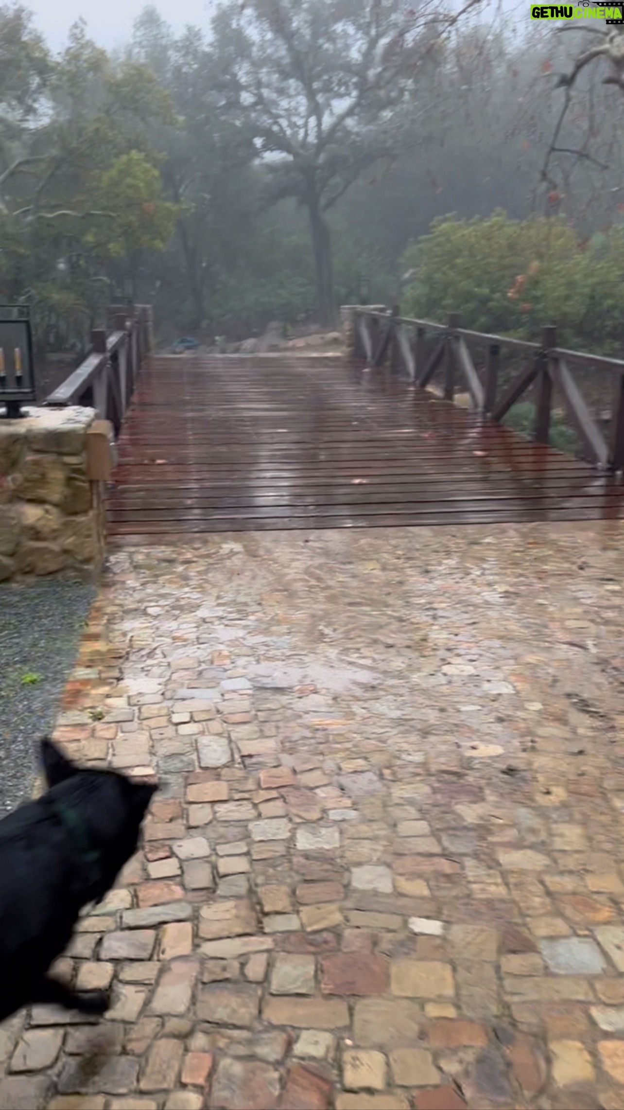 Don Johnson - 18.3K Likes - Okay,…this is a real rain storm. ☔️ y’all stay safe. 🙏🏻 Love you’s 🌹 #agentdog
