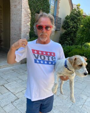 Don Johnson Instagram - Just in case you didn’t get the message before! #vote