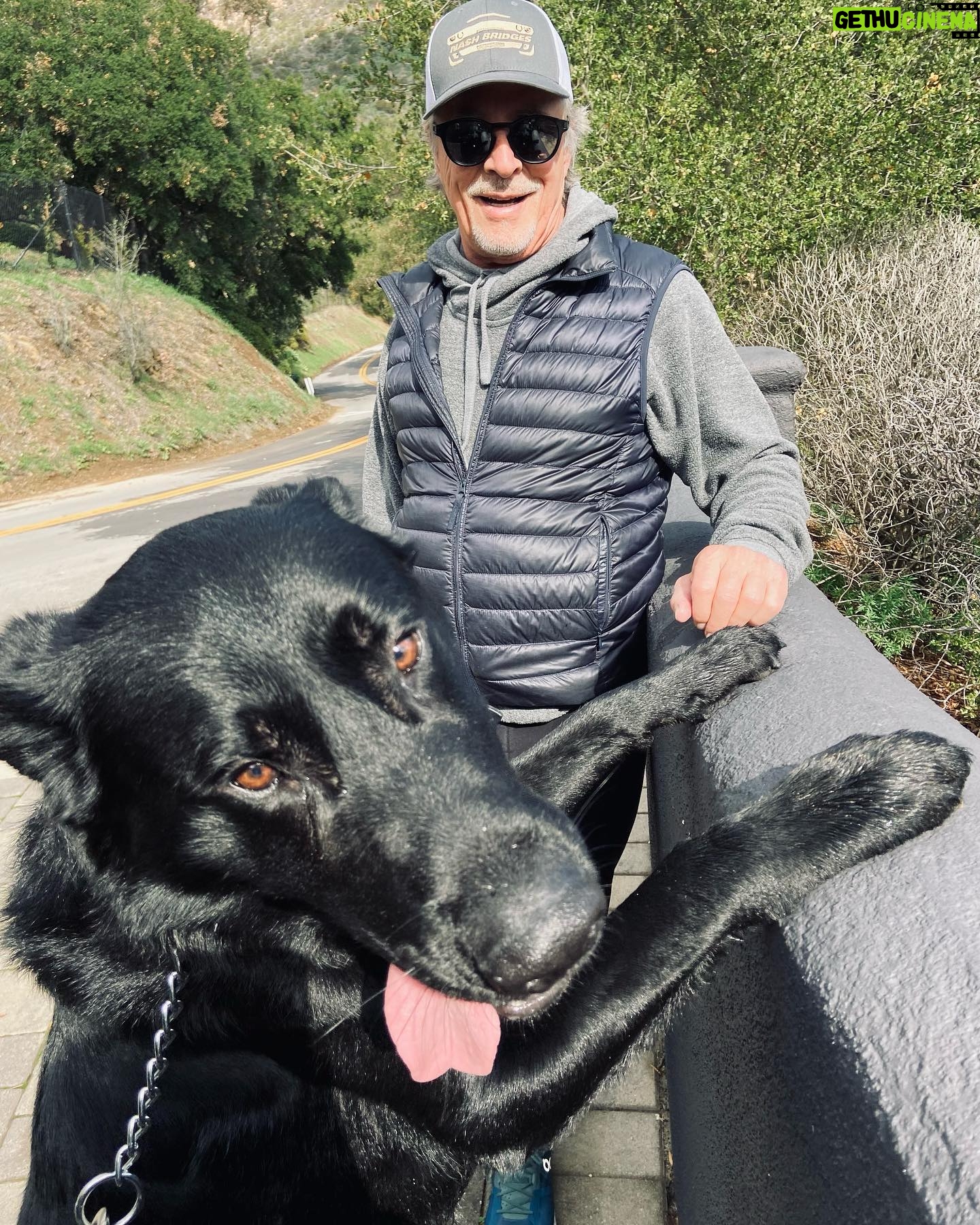 Don Johnson - 15.1K Likes - My New Agent (not kidding, that’s his name) joins me in wishing everyone a HAPPY NEW YEAR! 🎊🎆