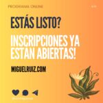 Don Miguel Ruiz