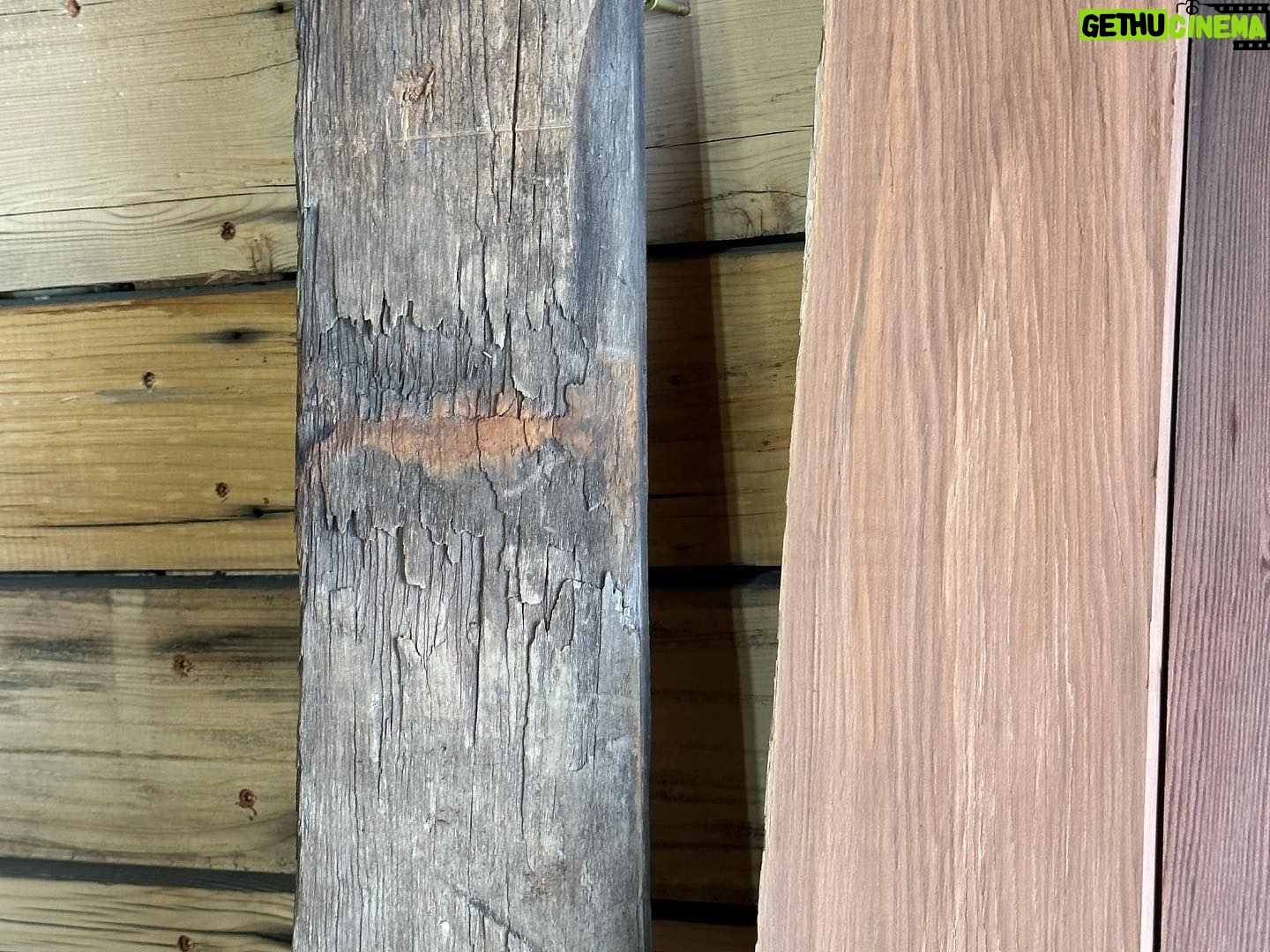 Donal Logue - 3.3K Likes - From old to new. Redwood planks. Some of the trees these boards were initially milled from were almost 2000 years old. Part of an old aqueduct, Kevin salvaged them and after some cutting and planing, we brought them back to life. There is almost no such thing as wood that can’t be brought back. Thanks to Ian, Kyle, & Johnny. @frisonloguehardwoods @ianfrison @frisontreeservice