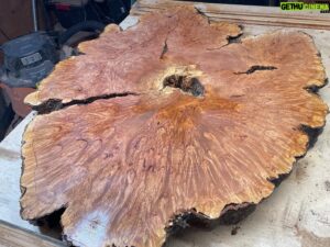 Donal Logue Instagram - With Kevin finishing a maple burl coffee table. In the burl of a hardwood tree, stress or disease causes the tree to produce growth buds which are then crushed by weighted compression. The end result of the tree fighting for its life is evident in the swirls and striping left behind. Check us out at @frisonloguehardwoods . Note- at Frison-Logue, we only work with 100% reclaimed or salvaged wood.
