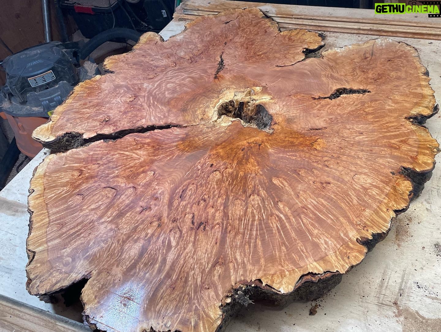 Donal Logue - 3.1K Likes - With Kevin finishing a maple burl coffee table. In the burl of a hardwood tree, stress or disease causes the tree to produce growth buds which are then crushed by weighted compression. The end result of the tree fighting for its life is evident in the swirls and striping left behind. Check us out at @frisonloguehardwoods . Note- at Frison-Logue, we only work with 100% reclaimed or salvaged wood.