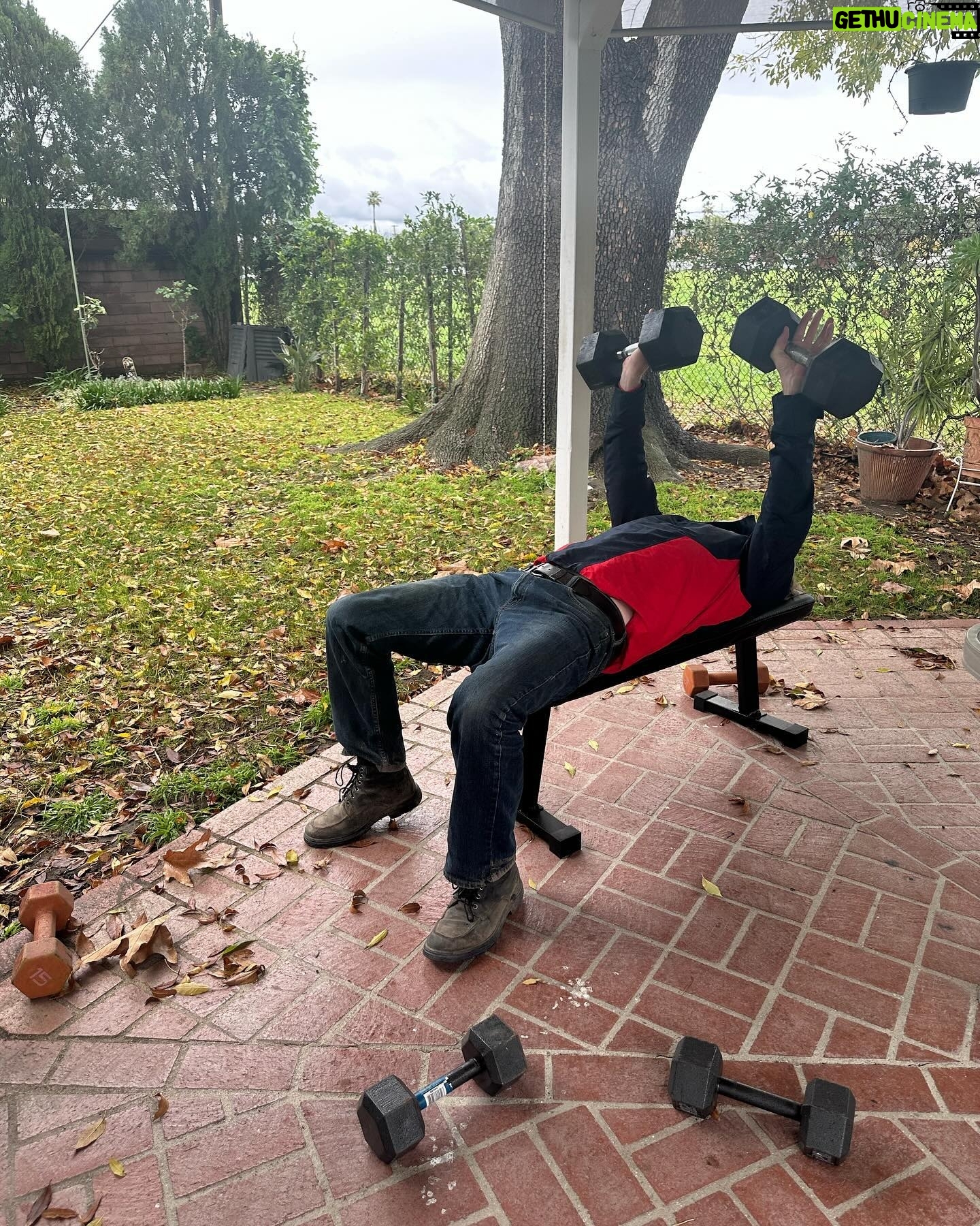Donal Logue - 3.7K Likes - Back in LA. This is my middle-aged man gym. Creeping towards 58 and trying to keep the old joints lubricated. Repping the @munsterrugby gear always! Up Munster