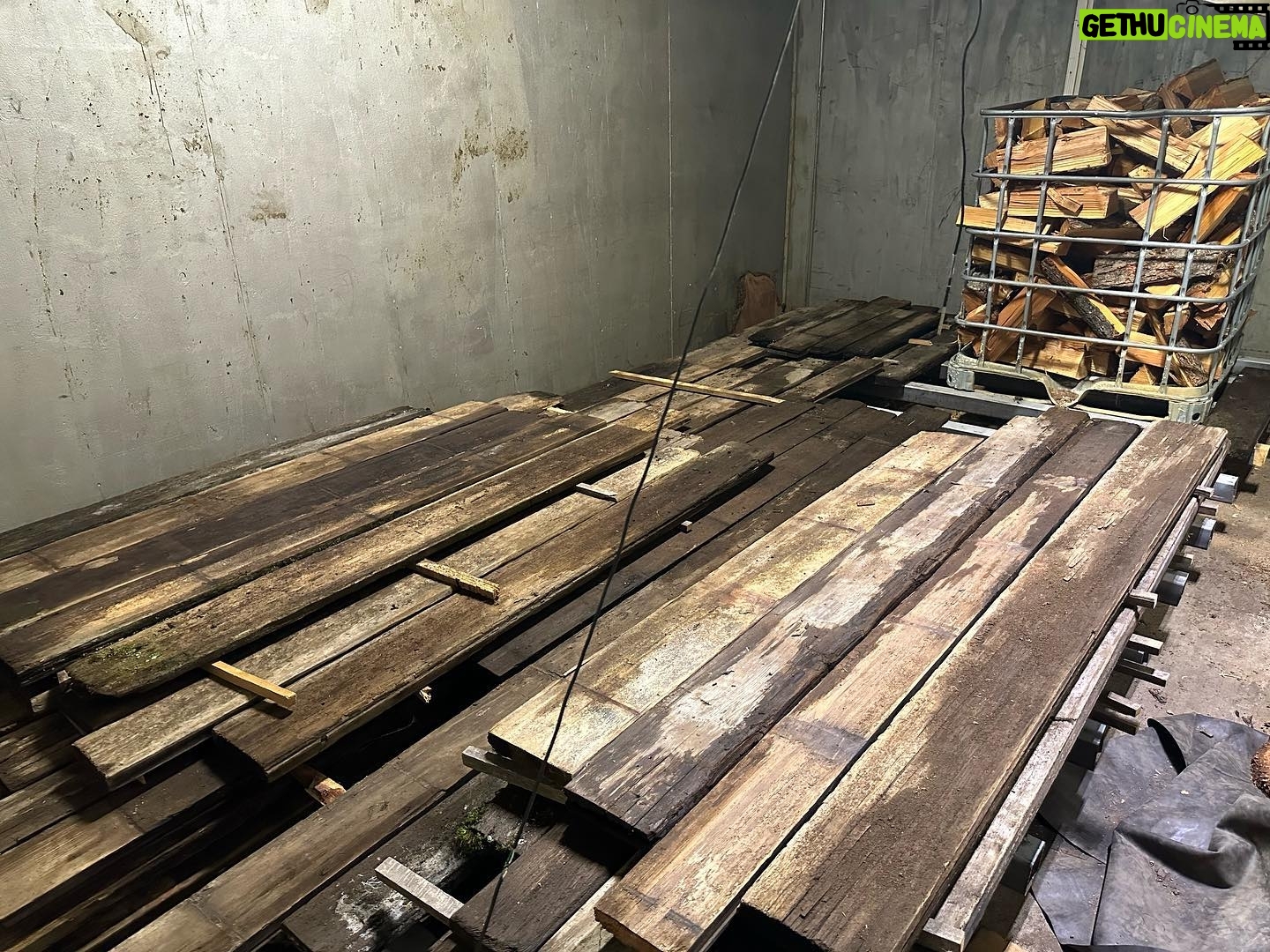 Donal Logue - 3.3K Likes - From old to new. Redwood planks. Some of the trees these boards were initially milled from were almost 2000 years old. Part of an old aqueduct, Kevin salvaged them and after some cutting and planing, we brought them back to life. There is almost no such thing as wood that can’t be brought back. Thanks to Ian, Kyle, & Johnny. @frisonloguehardwoods @ianfrison @frisontreeservice
