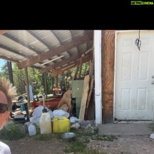 Donal Logue Instagram - Walking into the kiln office, reaching for the doorknob, I heard something that made me jump about twenty feet. The funny thing is I was FaceTiming with @michaelchiklis about making blue stain pine tables at the time. It’s going to be a rattle snake summer around these parts.