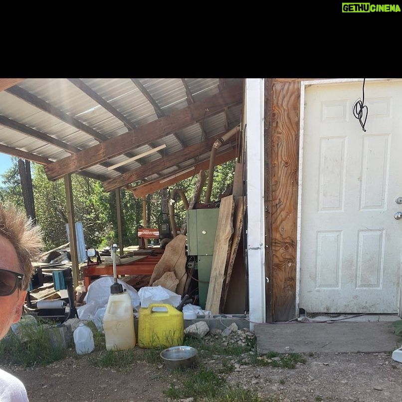 Donal Logue - 2.2K Likes - Walking into the kiln office, reaching for the doorknob, I heard something that made me jump about twenty feet. The funny thing is I was FaceTiming with @michaelchiklis about making blue stain pine tables at the time. It’s going to be a rattle snake summer around these parts.