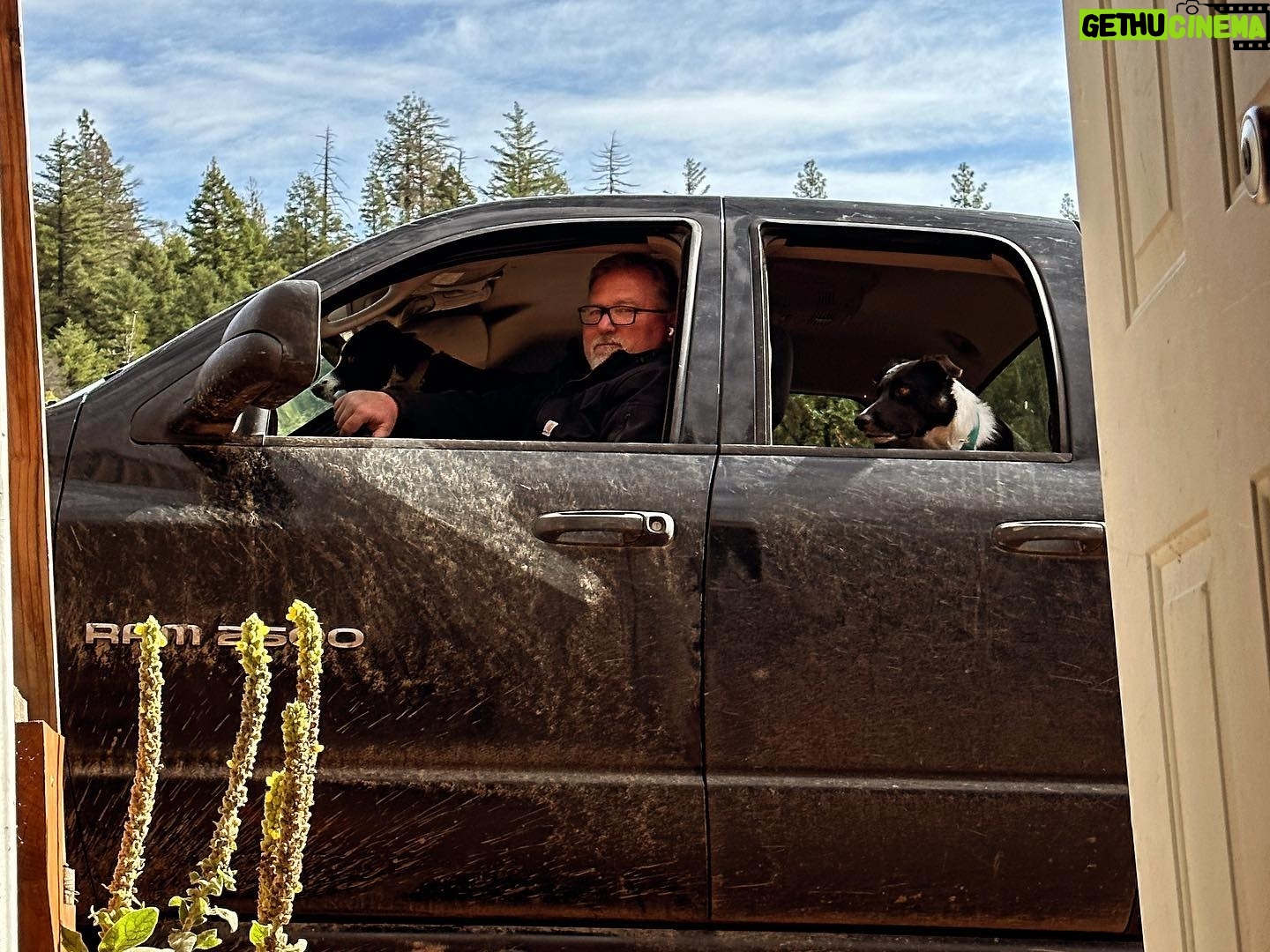 Donal Logue - 1.8K Likes - Writing a new book and milling away at the ranch. Kevin salvaged these redwood pieces from an abandoned canal in Oregon. Some of them came from two thousand year old trees. After they are dry-kilned and planed we’ll post after pics at @frisonloguehardwoods.