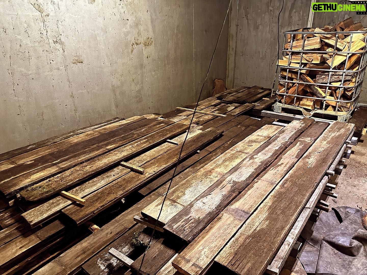 Donal Logue - 1.8K Likes - Writing a new book and milling away at the ranch. Kevin salvaged these redwood pieces from an abandoned canal in Oregon. Some of them came from two thousand year old trees. After they are dry-kilned and planed we’ll post after pics at @frisonloguehardwoods.
