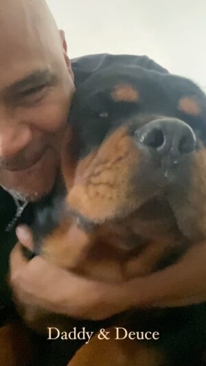 Dondré Whitfield Instagram - Rottweilers are one of the funniest breeds on the planet. And Deuce is by far one of the greatest dogs I’ve ever encountered in my entire life. Our family is so lucky to have him. He always makes me smile and always gives me positive energy. Even when we’re joking around. And as you can hear, he is always very vocal. As many Rottweilers are…