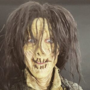 Doug Jones Instagram - THIS FRIDAY, Oct. 30!!
8pm New York Time!
Live one-time showing only!
Join us all from HOCUS POCUS as we reunite and join @bettemidler and MANY others to benefit @nyrp with “In Search Of The Sanderson Sisters”.
.
$10 Tickets & Info for this streaming presentation at: NYRP.org .
.
Makeup by dear old friend @tonygardner .

#NYRPHulaween .
#hocuspocus #happyhalloween #halloween #zombie #zombies #billybutcherson #actors #actorslife #halloweenspecial #tvspecial