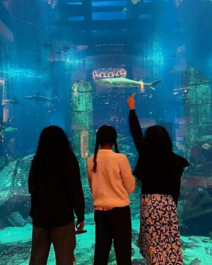 Dr. Meena Singh Instagram - I was going to caption this ‘24 Hours in Dubai’ and then @asha.v.singh beat me to it 🙄 #singh sisters #winterinArabia