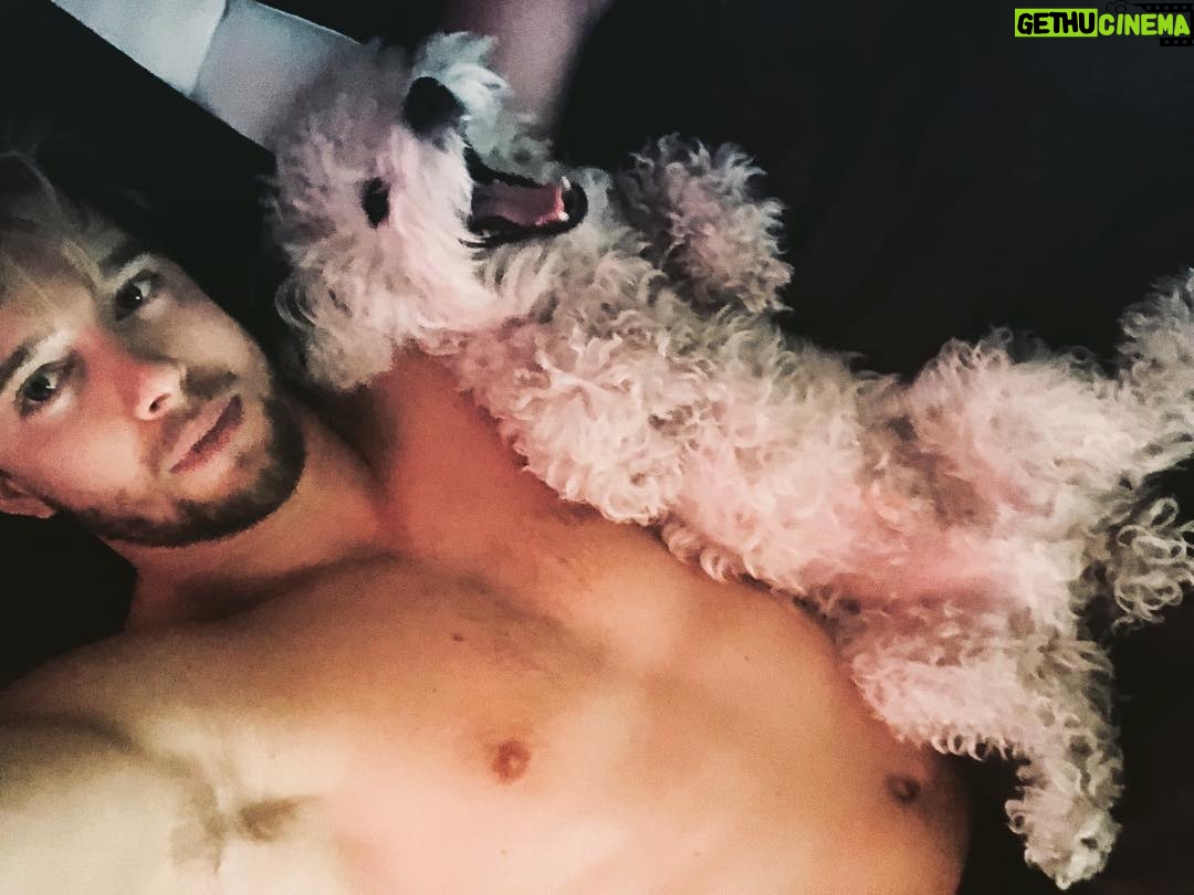 Drew Van Acker - 94.9K Likes - #nationalpuppyday the best 🐶