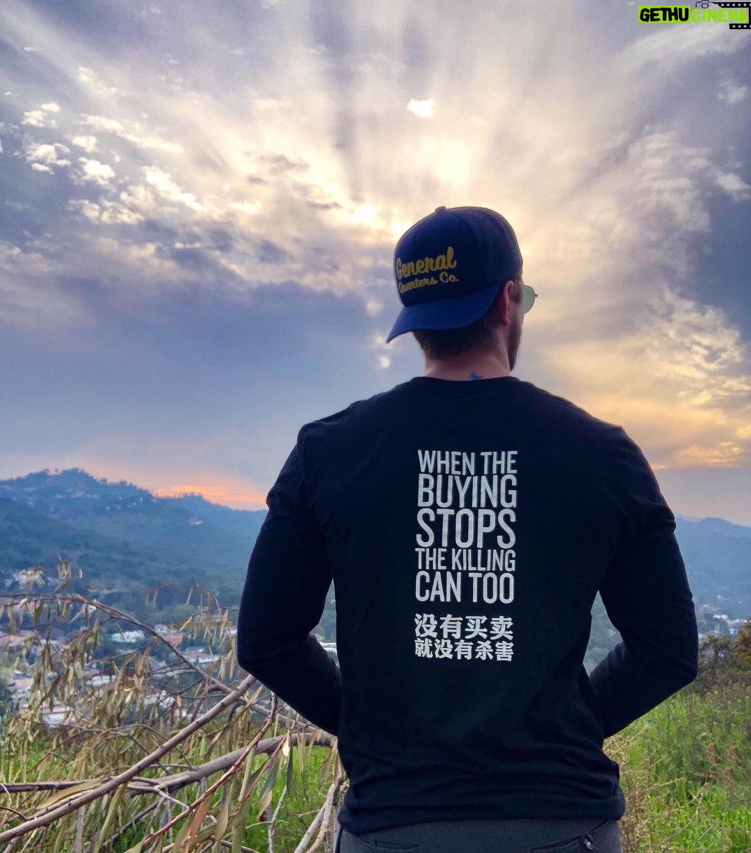 Drew Van Acker - 34K Likes - @wildaid
