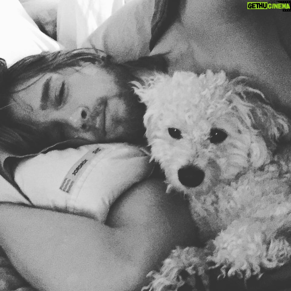Drew Van Acker - 34.3K Likes - #nationaldogday