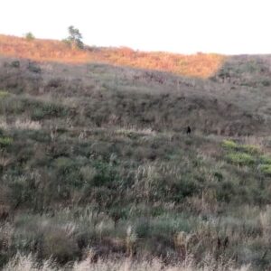 Durukan Çelikkaya Instagram - Tuin der Lusten