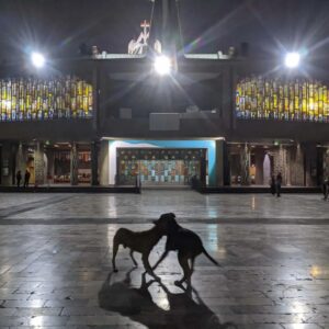 Dwayne Cameron Instagram - Animal Kingdom or a Higher Kingdom...

Dogs fighting on Halloween night outside the Basilica of Our Lady of Guadalupe, the chief religious centre of Mexico, and the most visited pilgrimage site in the world.

#basilicaofourladyofguadalupe #ourladyguadalupe 
#basilicaofguadalupe