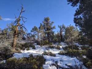 Dwayne Cameron Instagram - Serenity at Big Bear ☮️💟🕉️

#bigbear #bigbearlake