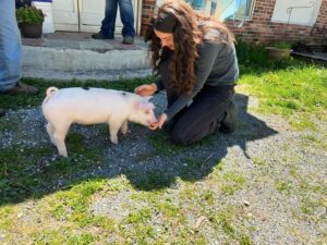 Dylan Gelula Instagram - I met a baby pig that was hanging out on the side of the road!!