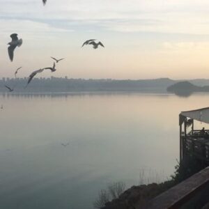 Ebru Aytemur Instagram - ‘Kimsenin birbirine acımadığı,birinin ötekine yardım etmeyi dahi aklından geçirmediği soğuk ve umutsuz bir dünyada yasıyoruz.Yalnızlıktan korktuğumuz ama sürekli yalnız kalmaya çalıştığımız,yalnızlıgımızın yetmediği ve bitmediği bir çağdayız.’ #ercankesal 🍃
.
#nature