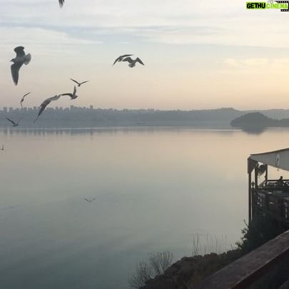 Ebru Aytemur - 545 Likes - ‘Kimsenin birbirine acımadığı,birinin ötekine yardım etmeyi dahi aklından geçirmediği soğuk ve umutsuz bir dünyada yasıyoruz.Yalnızlıktan korktuğumuz ama sürekli yalnız kalmaya çalıştığımız,yalnızlıgımızın yetmediği ve bitmediği bir çağdayız.’ #ercankesal 🍃
.
#nature