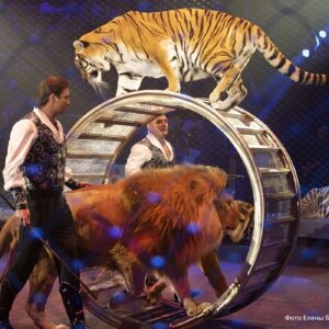 Edgard Zapashnyy Instagram - С днём рождения тебя,самый лучший цирк в мире!🥇

Happy birthday to you, the best circus in the world!😍
#деньрождения #happybirthday #сделановссср #madeinussr #любовь #love