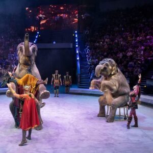 Edgard Zapashnyy Instagram - С днём рождения тебя,самый лучший цирк в мире!🥇

Happy birthday to you, the best circus in the world!😍
#деньрождения #happybirthday #сделановссср #madeinussr #любовь #love