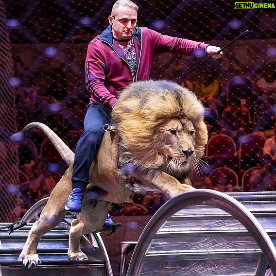 Edgard Zapashnyy - 2.2K Likes - Свежие фото с прошедшей в цирке @circus_ciniselli Открытой Репетиции.
Это было интересно,весело,познавательно и полезно!
За фото спасибо @elenablednykh 😍
#циркбратьевзапашных #большоймосковскийцирк #росгосцирк #этопитердетка #нашаработа #цирк#оченьинтересно #запашные