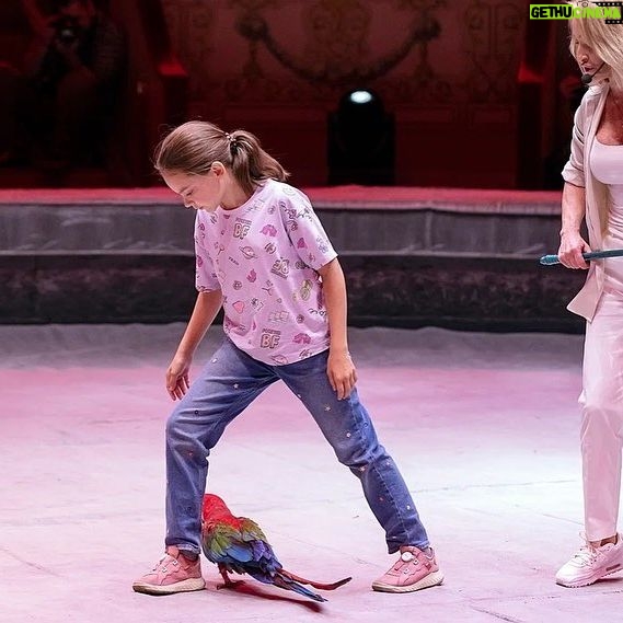 Edgard Zapashnyy - 2.2K Likes - Свежие фото с прошедшей в цирке @circus_ciniselli Открытой Репетиции.
Это было интересно,весело,познавательно и полезно!
За фото спасибо @elenablednykh 😍
#циркбратьевзапашных #большоймосковскийцирк #росгосцирк #этопитердетка #нашаработа #цирк#оченьинтересно #запашные