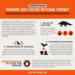 Edward Norton Instagram - This Earth Day it seems especially important to acknowledge that global failure to respect & care for biodiversity & the heedless destruction of the complex ecosystems of our planet has direct links to our current pandemic crisis. Here’s something we can unite around today.