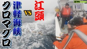 Egashira 2:50 Instagram - 今夜のエガちゃんねるは‼️

「江頭、津軽海峡で【黒いダイヤ】クロマグロを釣る！」

深夜2:50公開です！
お楽しみに！

youtube.com/@EGA-CHANNEL?s…

ブリーフ団より