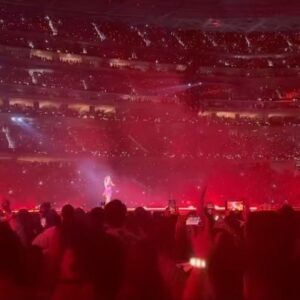Elan Gale Instagram - without a doubt one of the most enjoyable, invigorating evenings I’ve had in a long time. I’ve been an unapologetic swiftie for 15 years and last night and it was so fun to be surrounded by thousands of people all having a good time