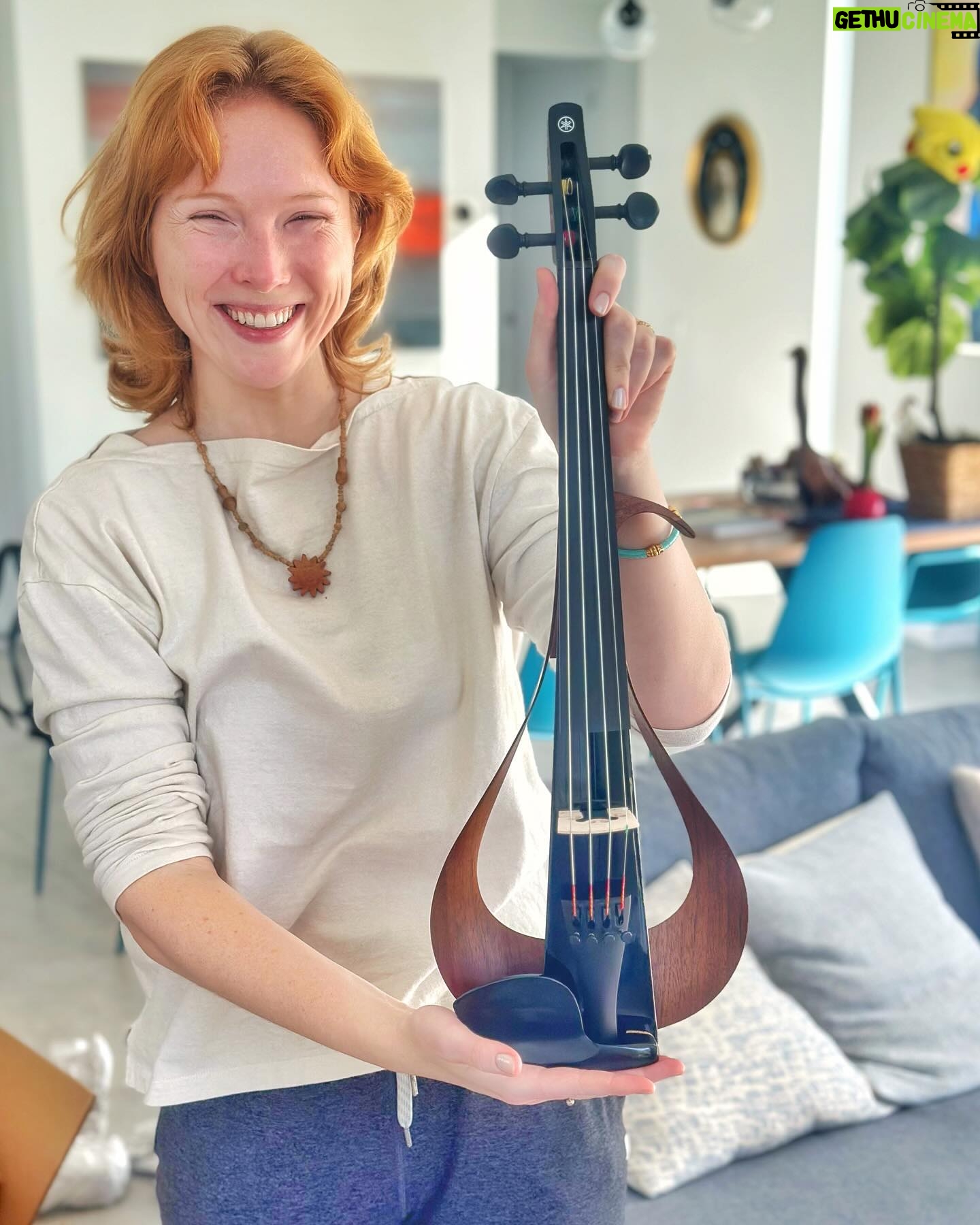 Elan Gale - 2.4K Likes - not everyone knows that mulu is actually a very skilled musician, and this year I got her a new electric violin so she can feel inspired to play beautiful music for the puppies and me. this year, and for eight years counting, we’ve created new and wonderful traditions that honor and elevate her memories and celebrate my Jewish heritage all at the same time. Christmas is a great part of our chosen blended family, and we look forward to our palm desert Christmas each year. however you are celebrating today, either with loved ones or alone, with your biological family or your chosen one, or if you’re one of those wonderful people who work over the holidays to support yourself and the ones you love (and who keep our world moving), we send you our love and joy. Happy holidays, merry christmas, and a joyful monday to all!!!