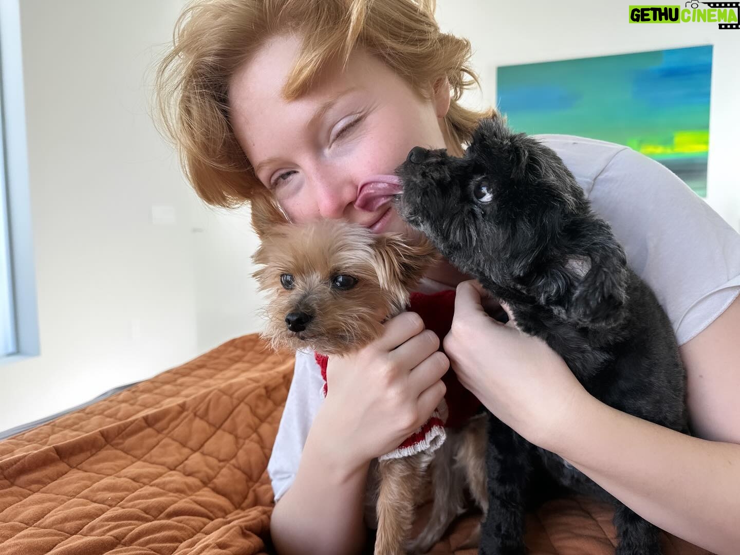 Elan Gale - 3 Likes - happy birthday to my life partner, my fiance, my co-dog parent, my better half, the soy to my sauce, the apple to my tartlet, the chocolate to my babka, the l’orange to my duck, the fun to my fetti, the chicken to my noodle soup. 8 birthdays together down, 140 (give or take a few) to go. I love you and admire you and by this time next year we’ll be married which is pretty cool. now lets go watch some more trashy reality tv and eat cookies