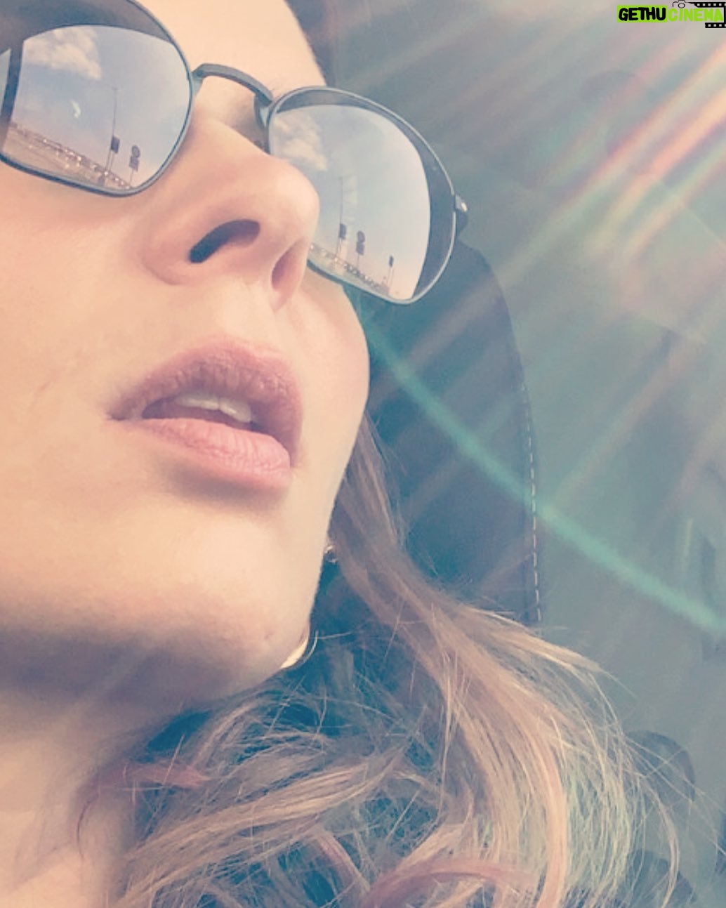 Elena Radonicich - 874 Likes - per noi che stiamo in fondo alla campagna
#vaialavorare