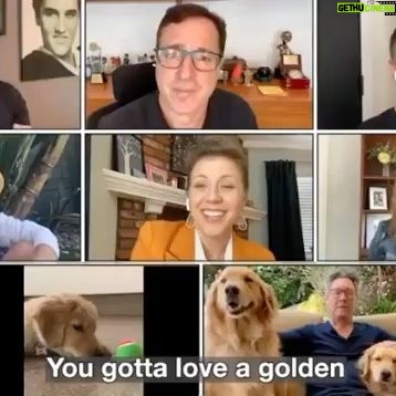 Elias Harger - 22.2K Likes - Gotta support my fam! (Arenāt they cute? The dogs, I mean.) šš„°
#NationalDogWeek! Check out #GottaLoveAGolden and help Jeff Franklin @fullerhouseguy and the Full Dog-House support animal welfare #petsmartcharities Unleash the love! @petsmartcharities
