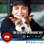 Elif İnci