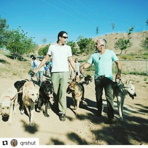 Elif İnci Instagram - Cok sevdiğim eski dostum @nissoniyego #california da #köpeklerefısıldayanadam #cesarmillan dan almış olduğu eğitimle harikalar yarattığını gözlerimle gördüm... Bence sayfasına gir ve sen de bi göz at.. Sadece bizlerin  değil, doğru enerji le köpeklerimizin  neler başarabileceğine tekrar ve tekrardan inandım ☺️✌️🙏 www.positivenergydogs.com #pozitif#köpek#eğitim #dog#rehabilitation #köpek#rehabilitasyon