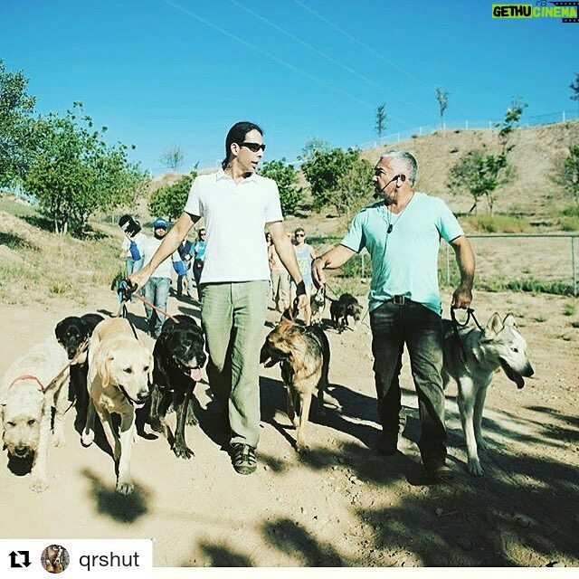 Elif İnci - 287 Likes - Cok sevdiğim eski dostum @nissoniyego #california da #köpeklerefısıldayanadam #cesarmillan dan almış olduğu eğitimle harikalar yarattığını gözlerimle gördüm... Bence sayfasına gir ve sen de bi göz at.. Sadece bizlerin değil, doğru enerji le köpeklerimizin neler başarabileceğine tekrar ve tekrardan inandım ☺️✌️🙏 www.positivenergydogs.com #pozitif#köpek#eğitim #dog#rehabilitation #köpek#rehabilitasyon
