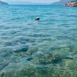 Elif Özkul Instagram - Önümde deniz,arkamda zeytinlik, gün batımında gelen keçiler:) 🐐🐐 burası Marmaris’in cennet köşesi olabilir💚