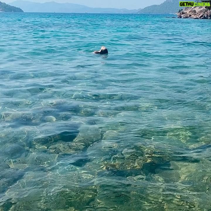 Elif Özkul - 781 Likes - Önümde deniz,arkamda zeytinlik, gün batımında gelen keçiler:) 🐐🐐 burası Marmaris’in cennet köşesi olabilir💚