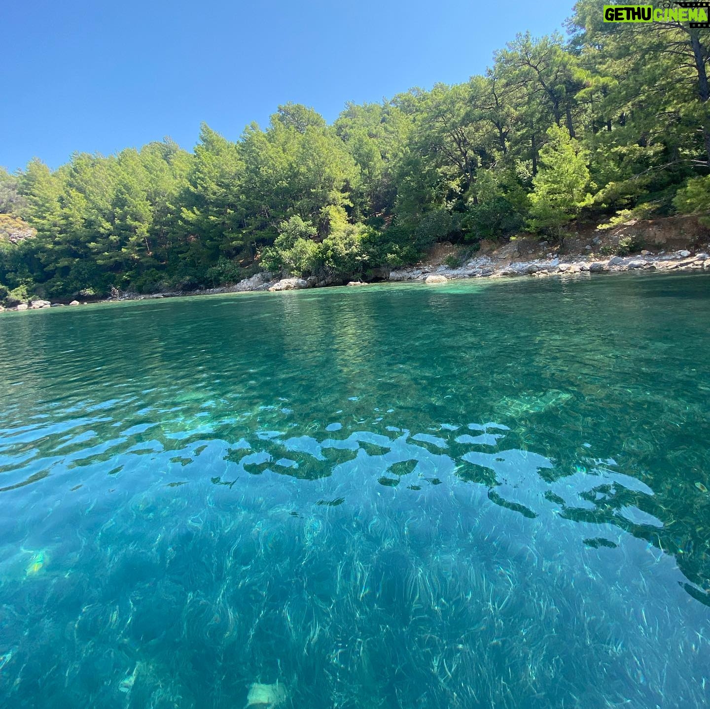 Elif Özkul - 808 Likes - 🐬