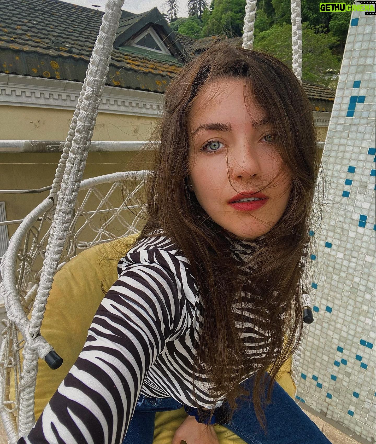 Elif Özkul - 1.3K Likes - 🦓