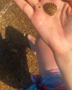 Elif Özkul Instagram - 🐚