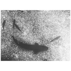 Eliška Křenková Instagram - • K E E P  C A L M •