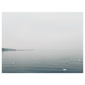 Eliška Křenková Instagram - Labutí moře