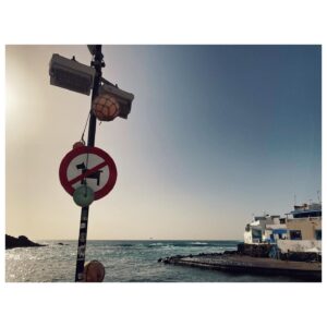 Eliška Křenková Instagram - Nic pro @jefunina #dogprohibited