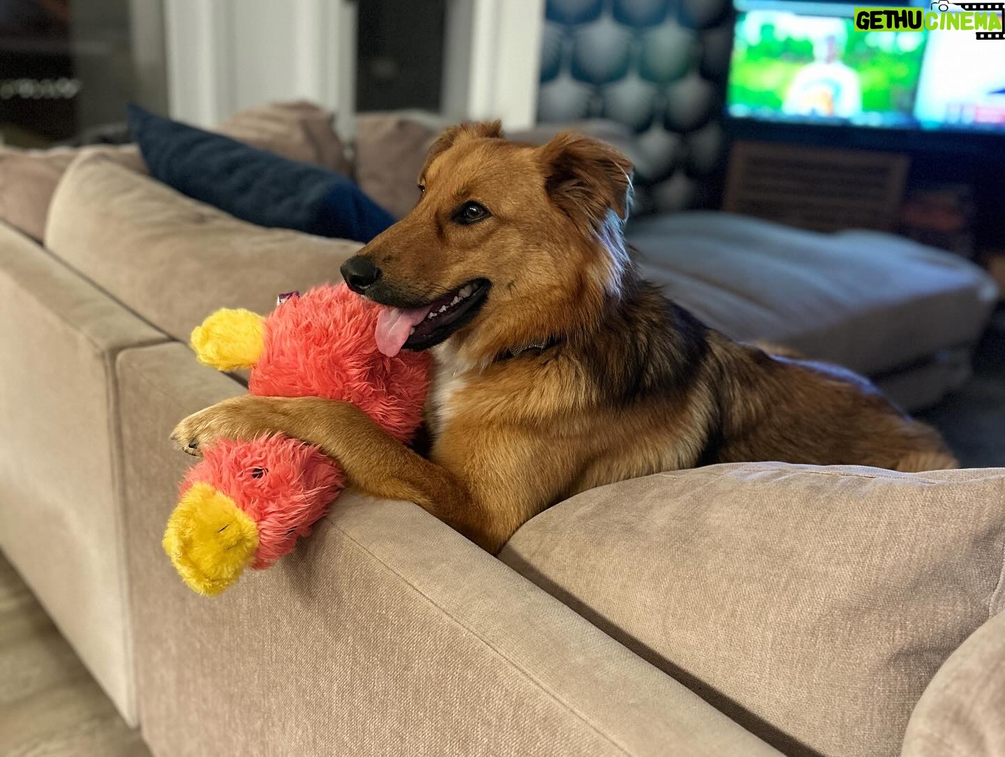 Elizabeth Alderfer - 318 Likes - 🐓