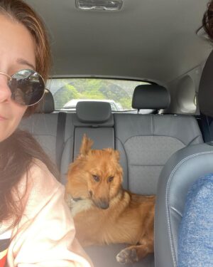 Elizabeth Alderfer Instagram - We got a pup. His name is Rooster.
Also Go Nuggets